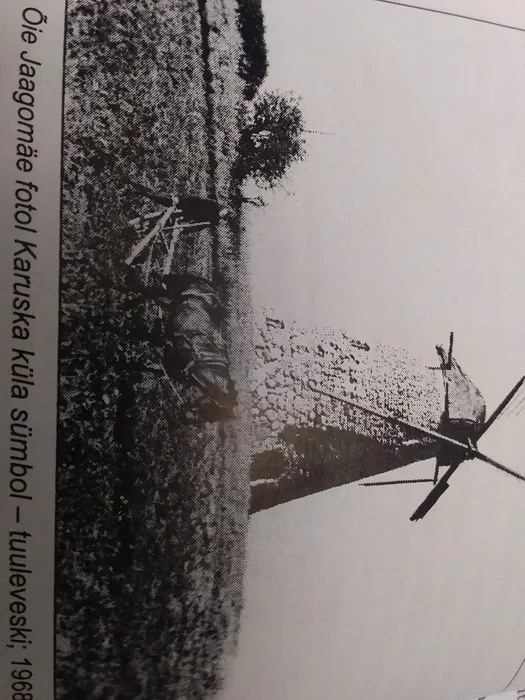 Паниковичи-14 ноя-2