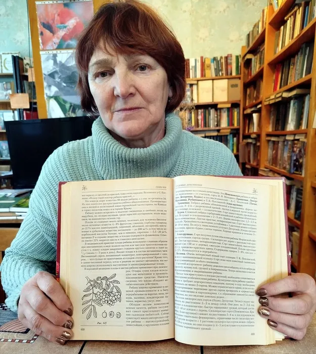 Залесси-24 окт-4