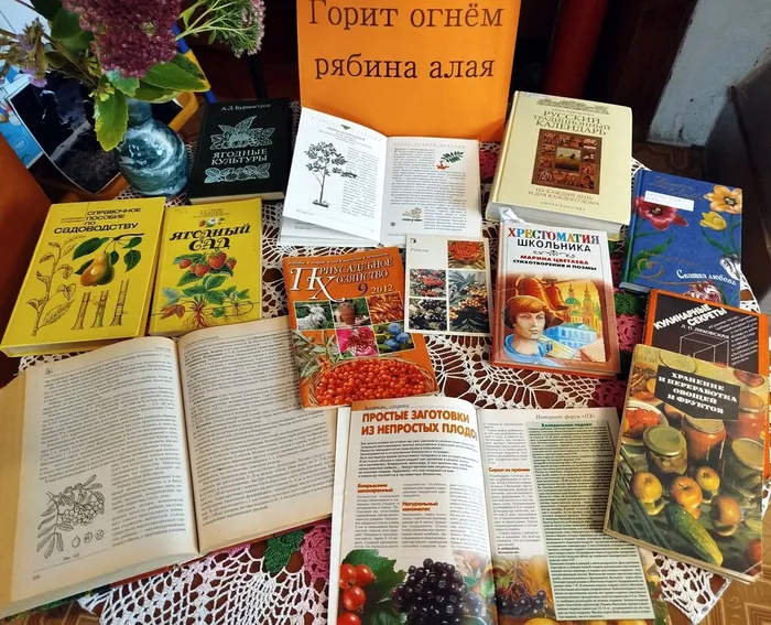 Залесси-24 окт-6