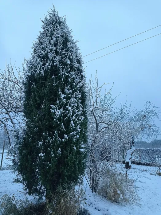 Крупп-18 ноя-4