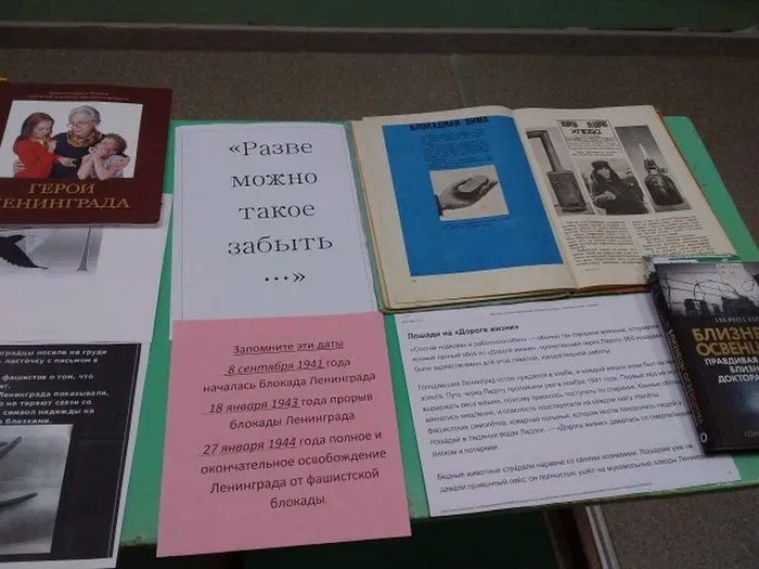 28 янв-Паниковичи-2