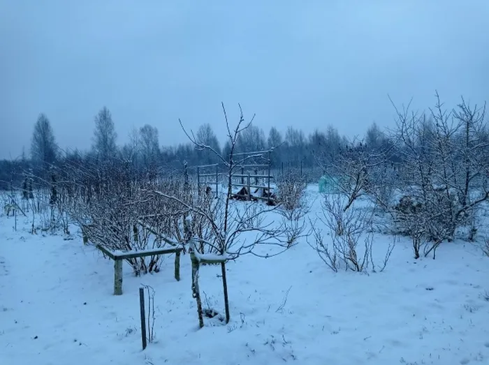 Крупп-18 ноя-3