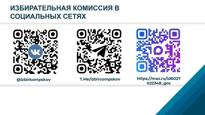 Избирательная система РФ и ПО_2026 (2)_page-0018